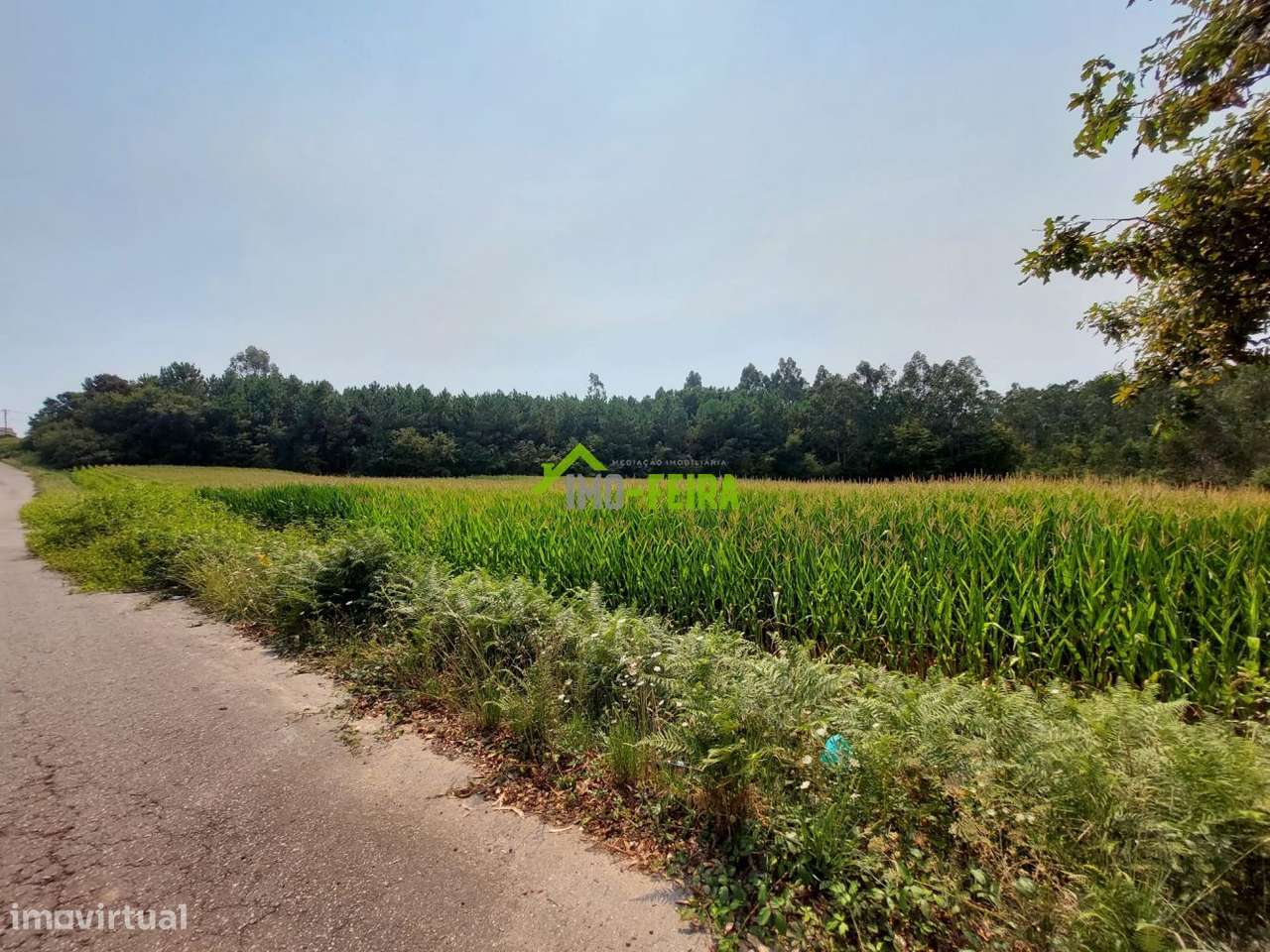 Terreno com PIP aprovado,  Santa Maria da Feira - Grande imagem: 2/12