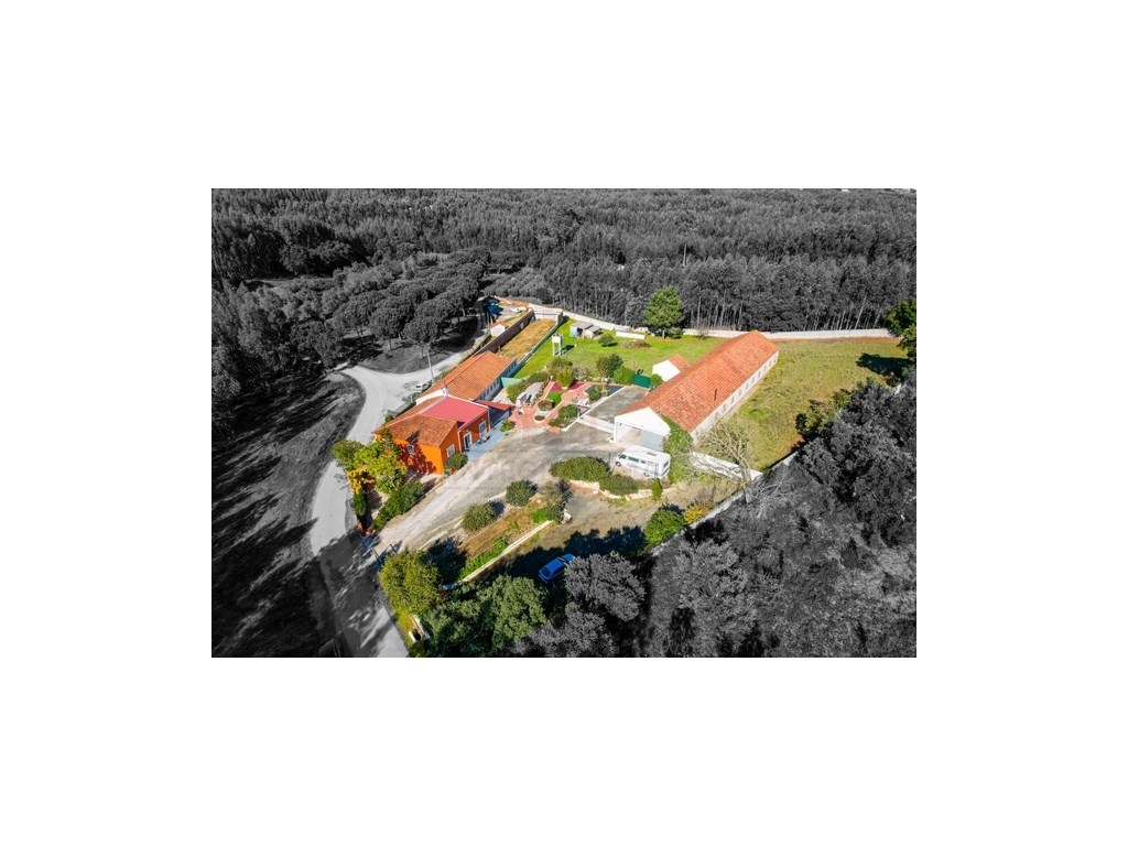 Quintinha com habitação, armazéns e terreno - Rio Maior-7