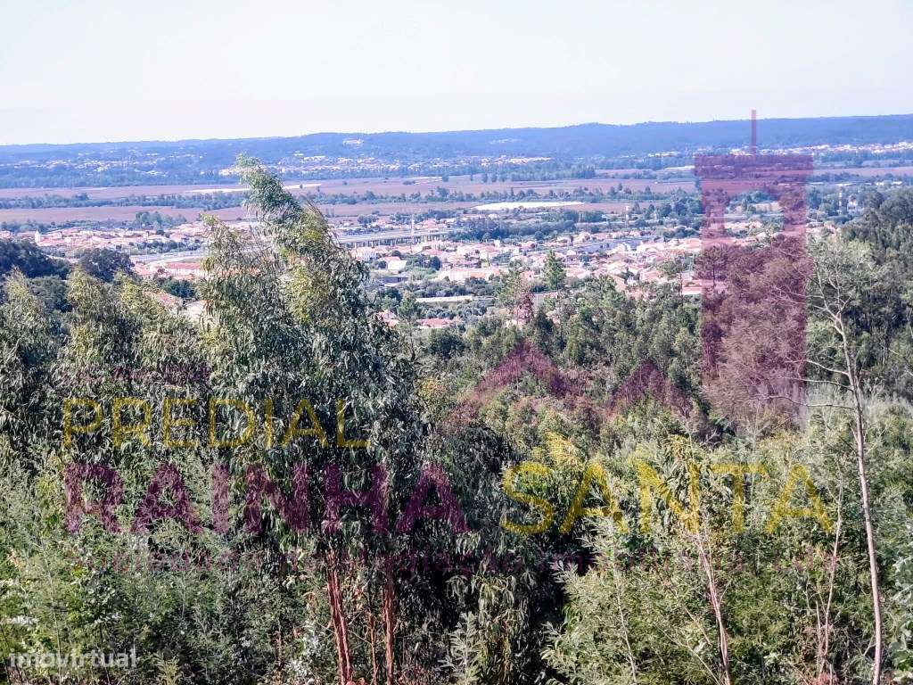 Moradia M4 com vistas panorâmicas, areas verdes, paineis solares e ...-18
