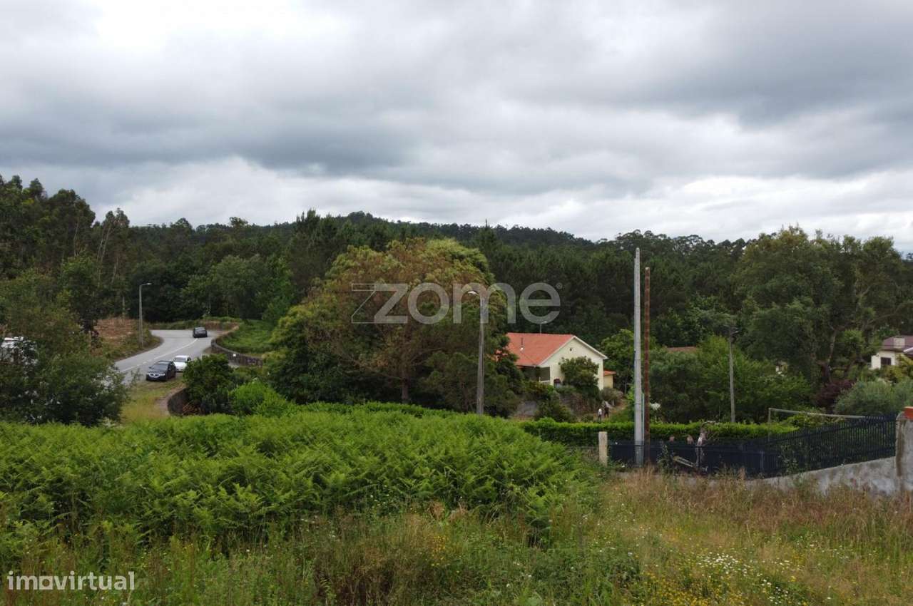 Terreno Rustico Escariz Vila Verde - Grande imagem: 3/16