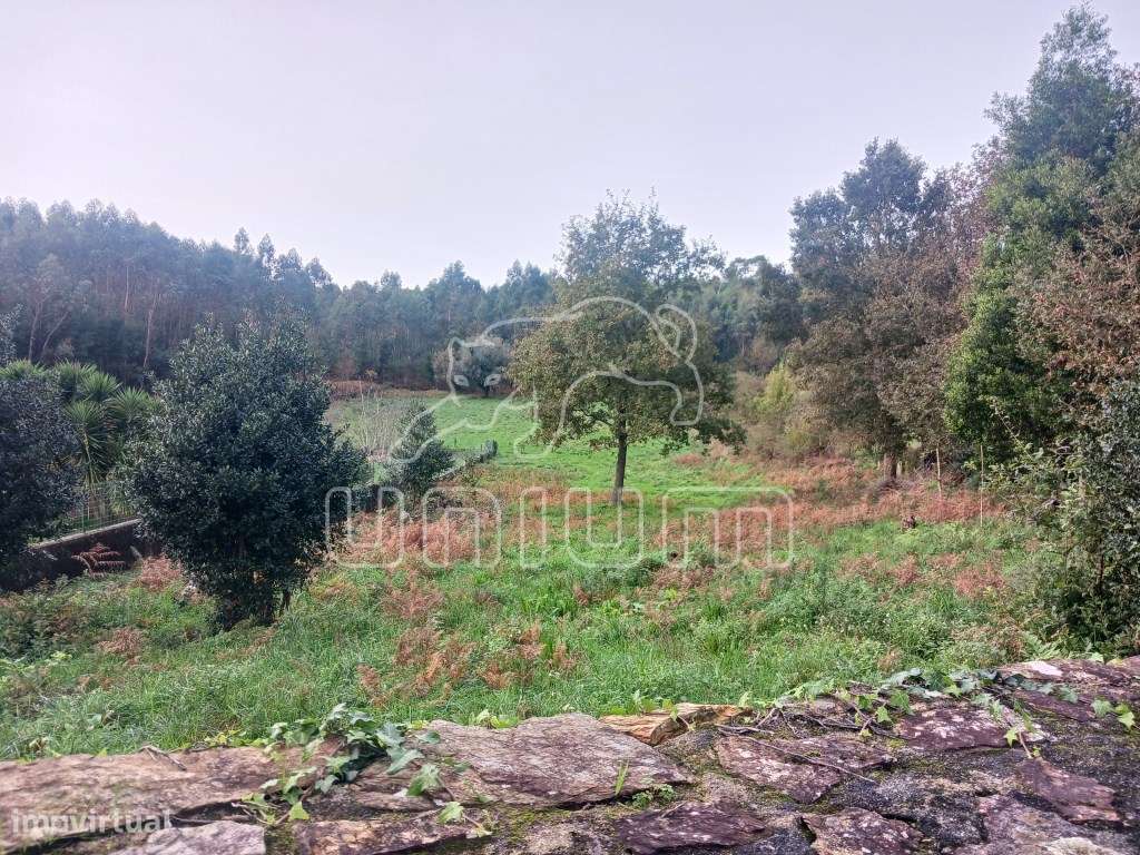 Terreno para construção em Nogueira - Grande imagem: 2/2