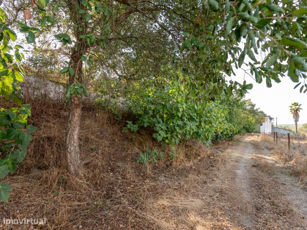 Quinta Rústica em Évora-55