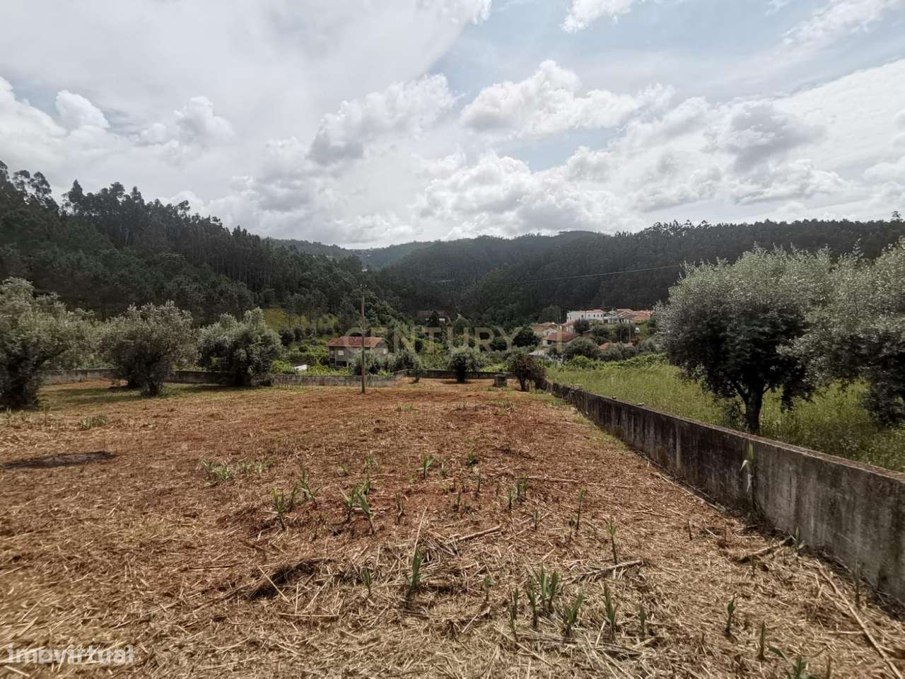 Terreno para Construção | Ceira-17