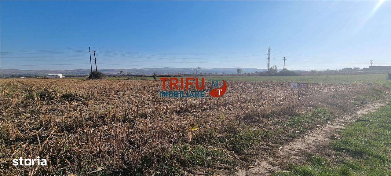 Teren intravilan de vanzare 2900 mp pe Soseaua de Centura - Imagine principală: 2/4