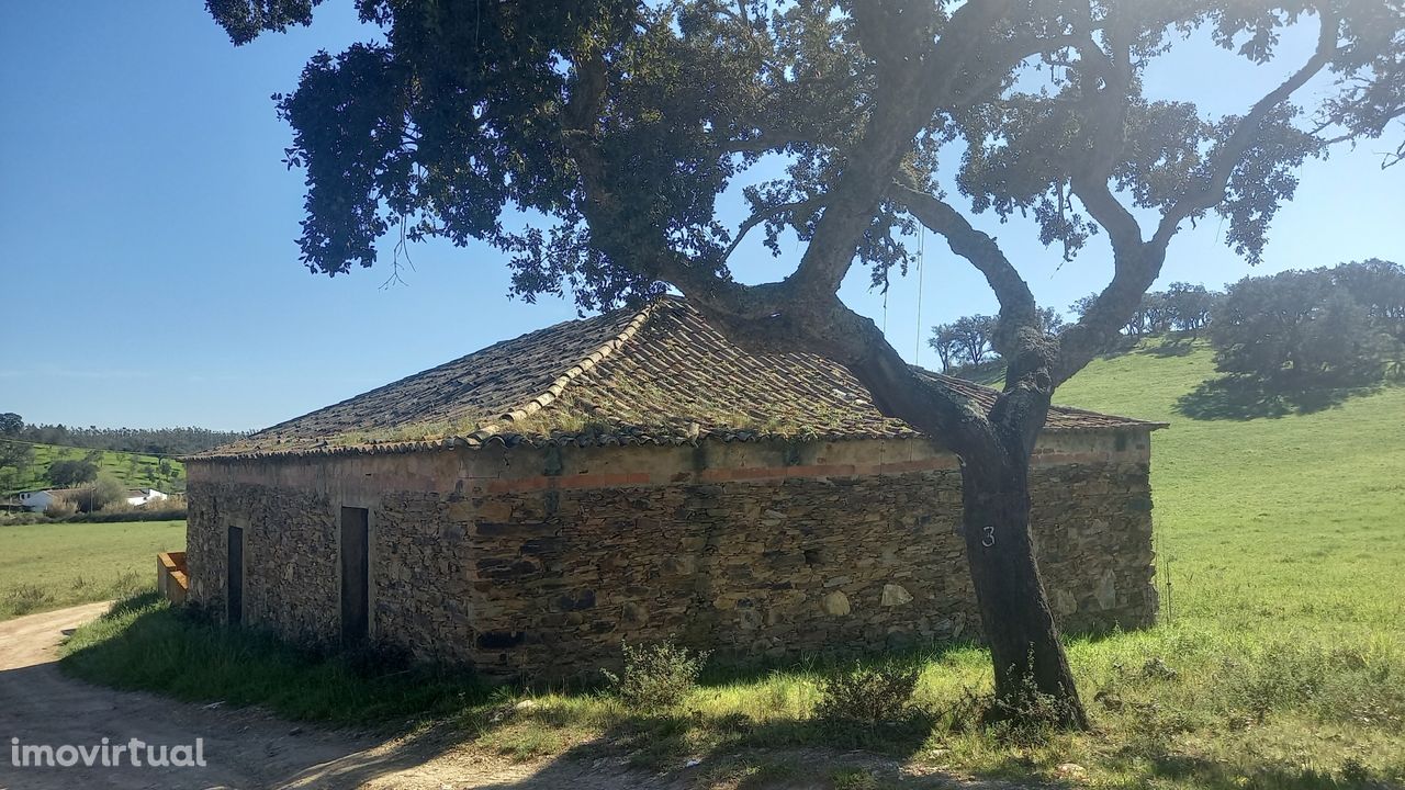 Herdade de 30 hectares em Cercal do Alentejo, Santiago do Cacém, Se...