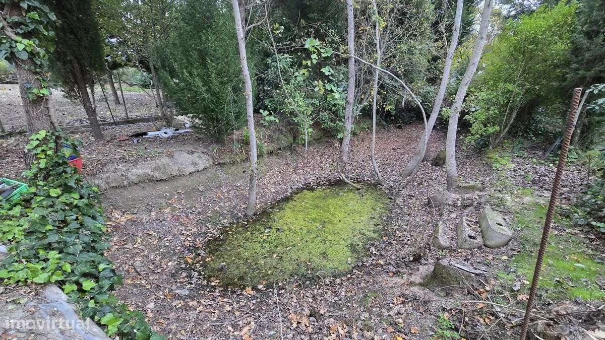 Terreno Rústico - Rio Torto e Lagarinhos - Gouveia-11