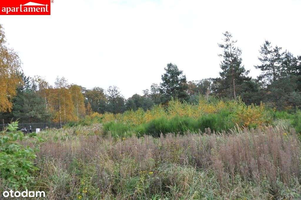 Działka budowlana, ul. Kalinowa-2