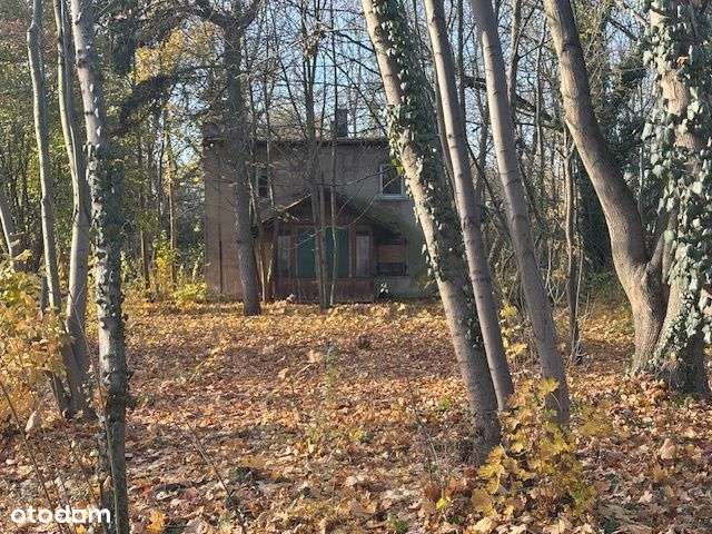 Dom przedwojenny w Puszczykowie-0