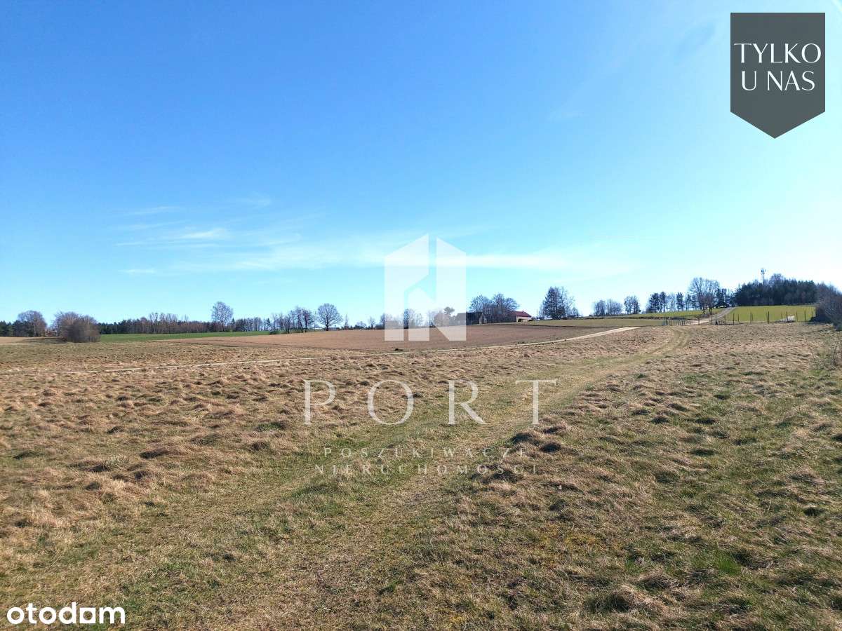 Działka budowlana w Szemudzie - Pełny obrazek: 4/9