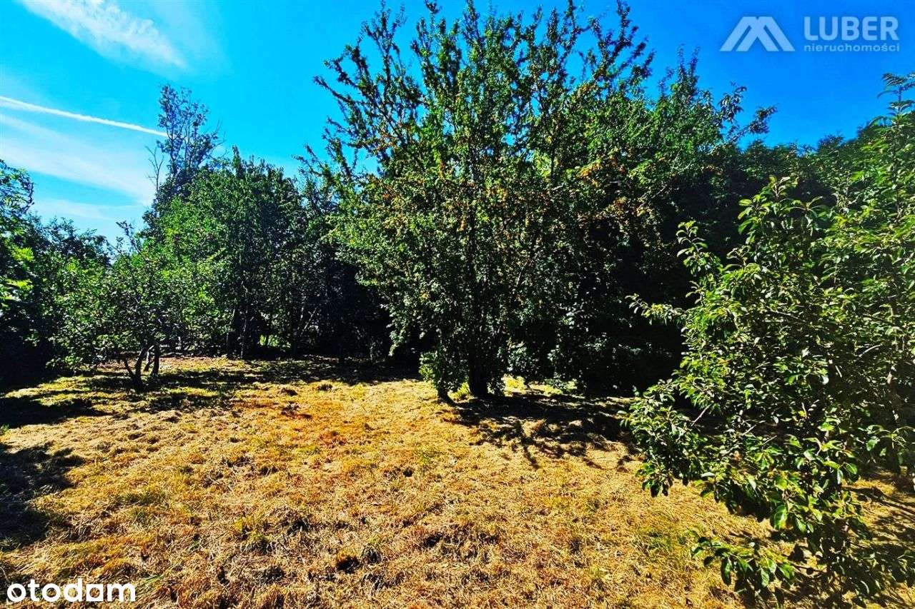 Idealna działka 997 m2-4