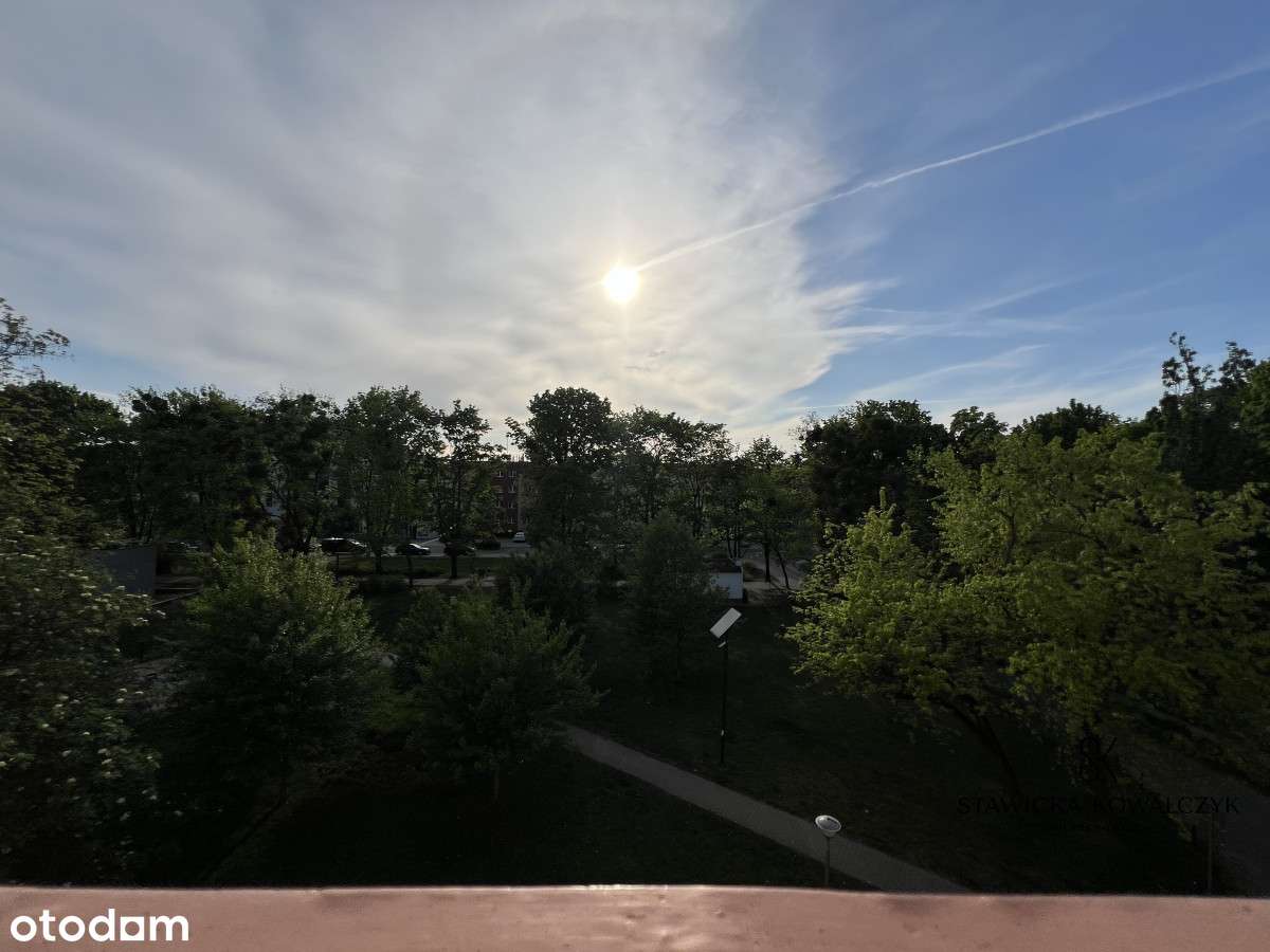 Ustawne 3 pokoje z widokiem na zieleń-6