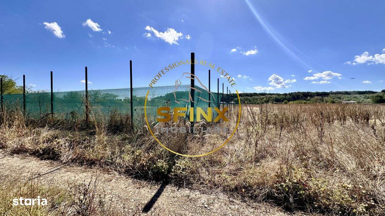 Corbeanca 5000 mp, deschidere 22 m la Drum asfaltat, padure, utilitati-1