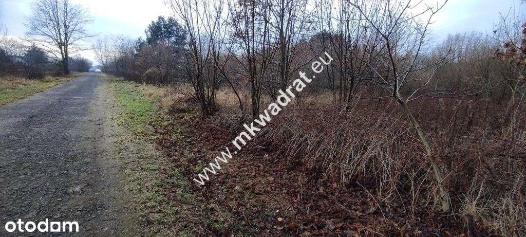 ⭐⭐⭐⭐ Działka Budowlana 4851 M Budy Grzybek ⭐⭐⭐⭐-6