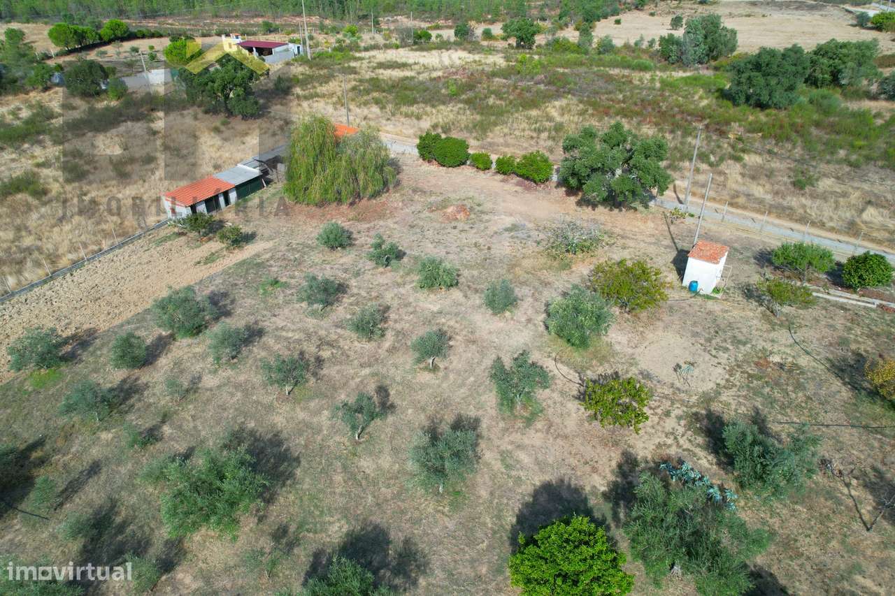 Quintinha  Venda em Cebolais de Cima e Retaxo,Castelo Branco-21