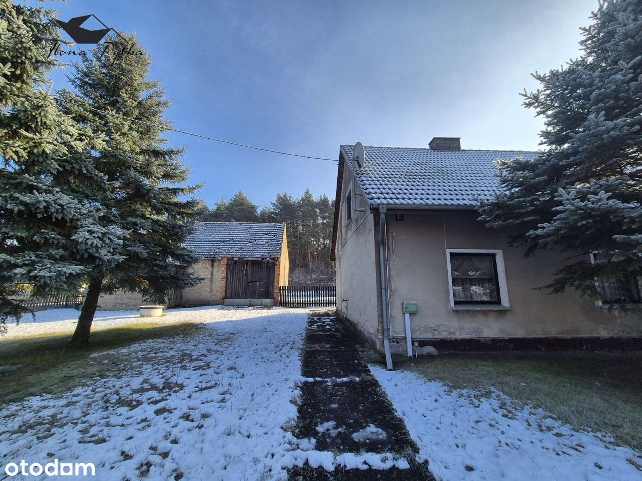 Dom pod lasem z zabudowaniami gospodarczymi 16km od Opola-1