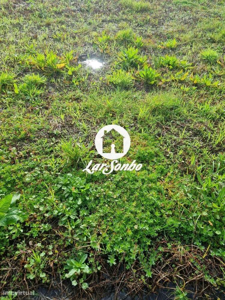 Terreno para construção de moradias - Grande imagem: 4/14