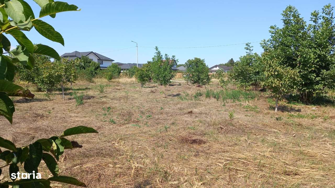 Teren intravilan Crevedia, Manastirea, 500mp - 17.000 euro, 0%comision-14