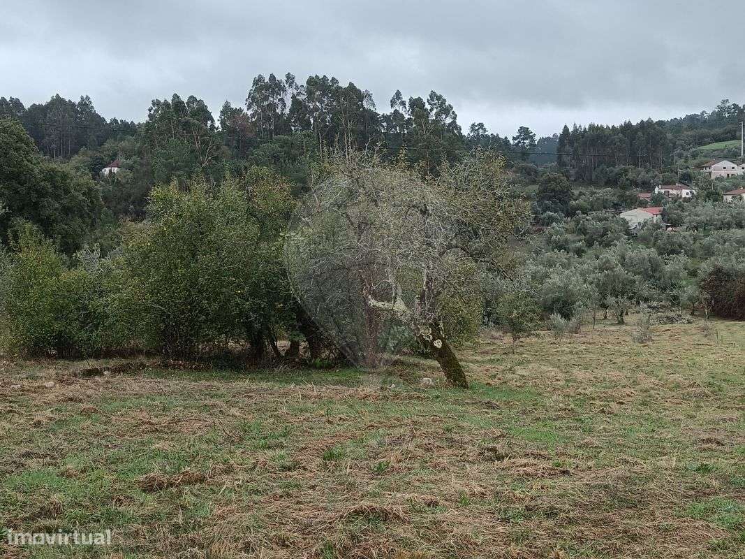 Terreno  para venda - Grande imagem: 5/5