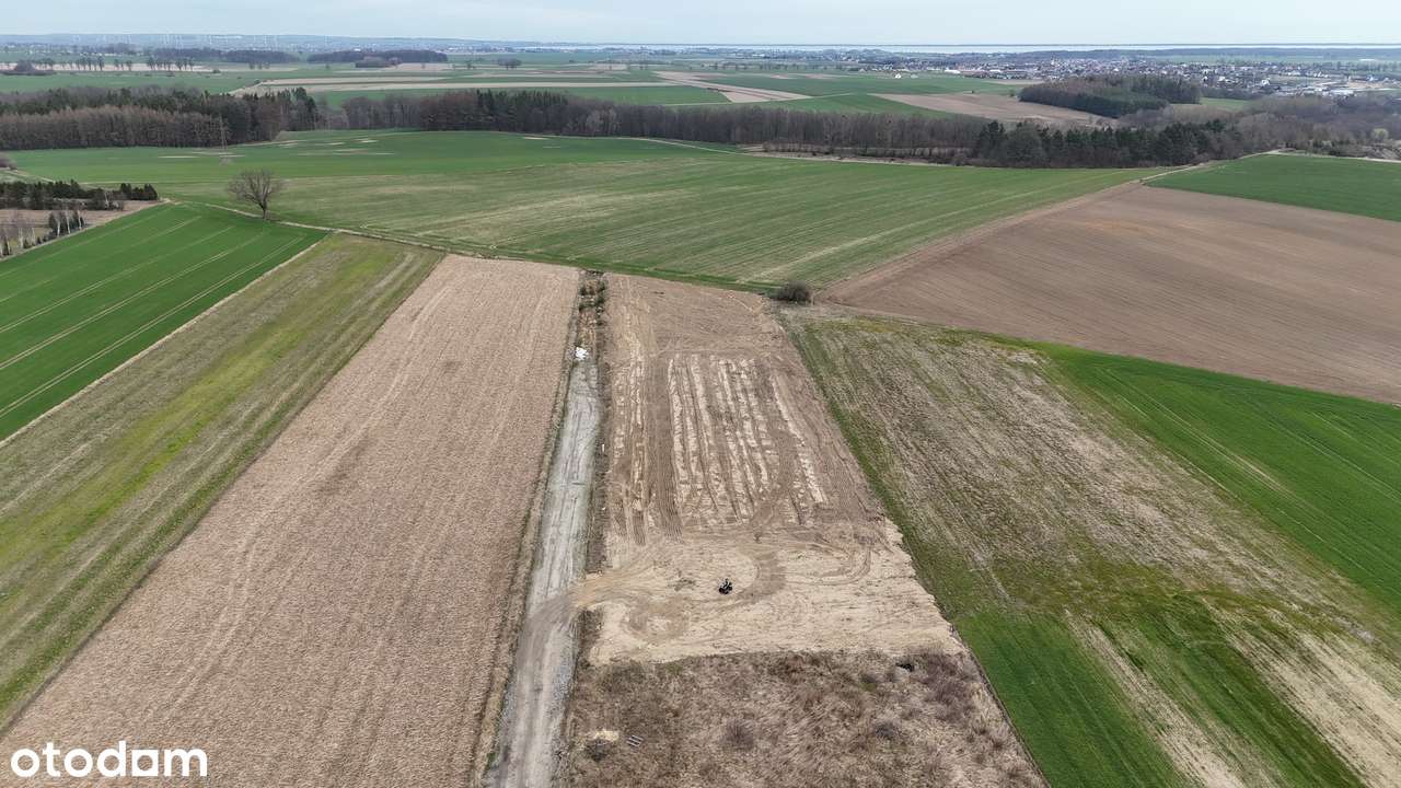 Działka Budowlana w Połchowie - Pełny obrazek: 5/6