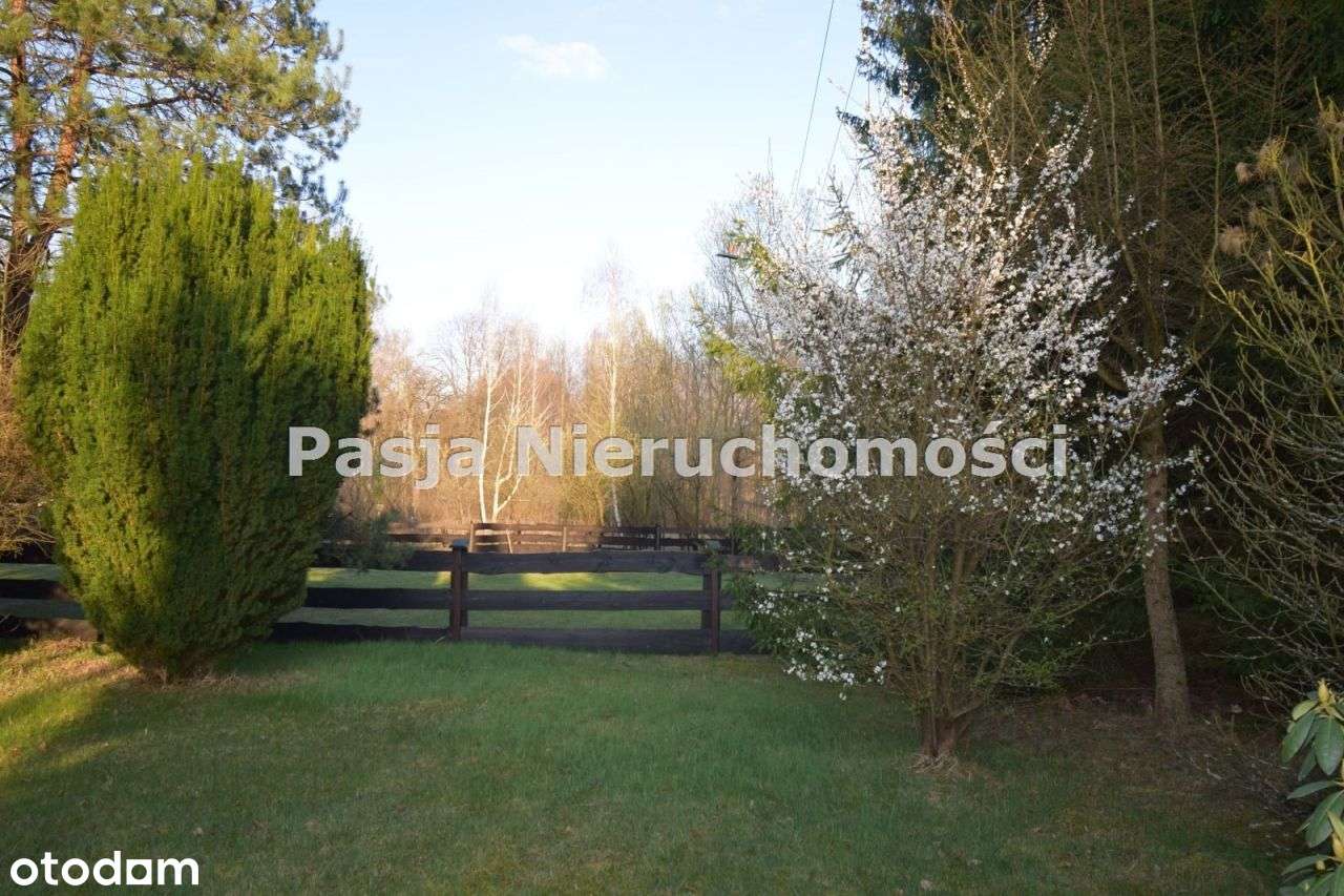 Siedlisko przy lesie - Pełny obrazek: 4/15