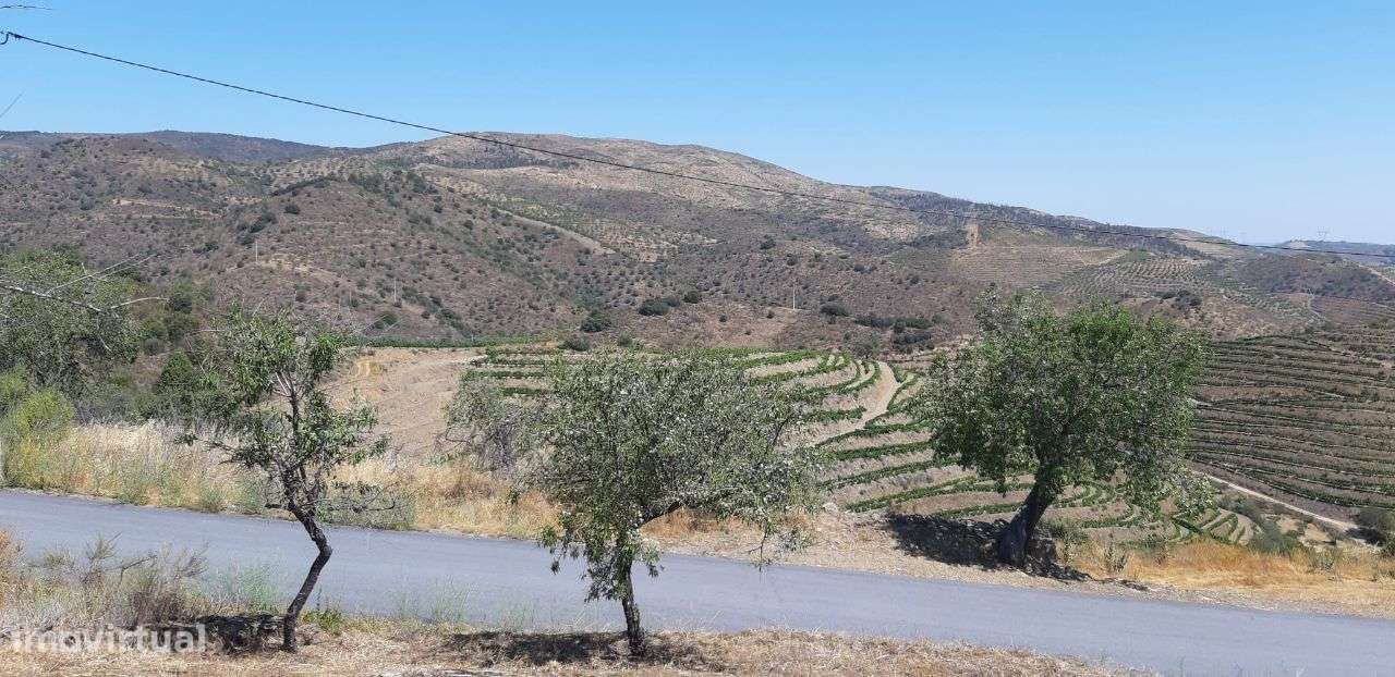 Terreno com 881m² situado na Quinta da Cornalheira, Mêd - Grande imagem: 4/13