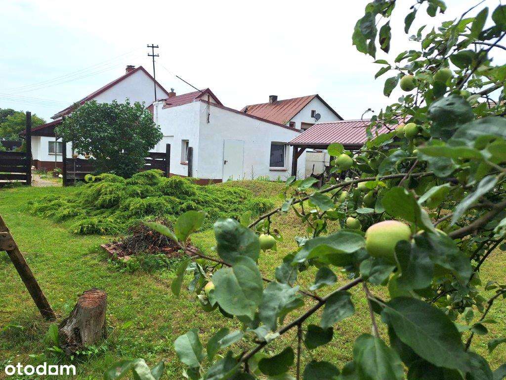 Przestronny dom z dużym ogrodem-15