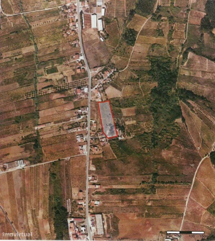 Terrenos em Painho/Cadaval -  Oportunidade de Investimento para agricu - Grande imagem: 4/8