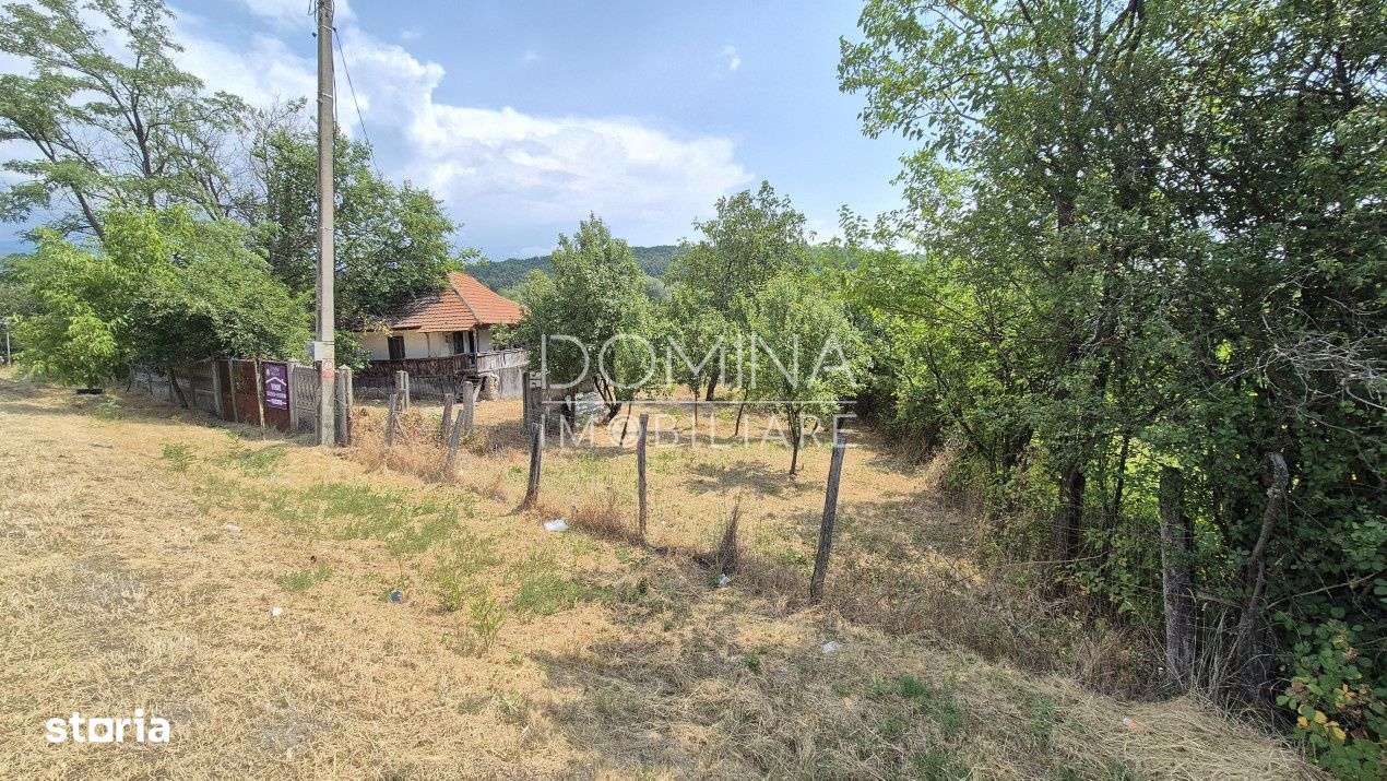 Vanzare proprietate in apropiere de complex turistic Musetesti - Imagine principală: 3/10