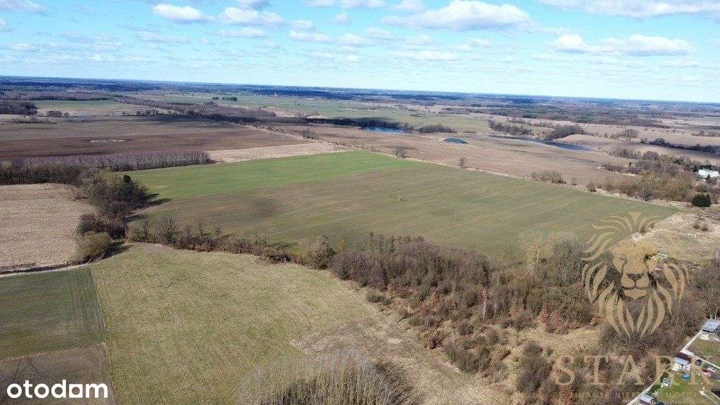 Działka rolno-inwestycyjna Kozy gm. Dobrzany - Pełny obrazek: 5/5