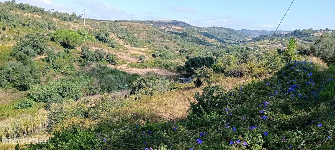 Terreno Rústico em Lisboa, Arruda dos Vinhos - €15.000 / Venda - Grande imagem: 2/6