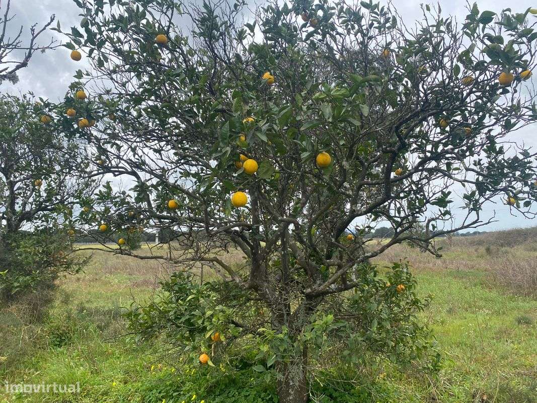 Terreno  para venda - Grande imagem: 3/9