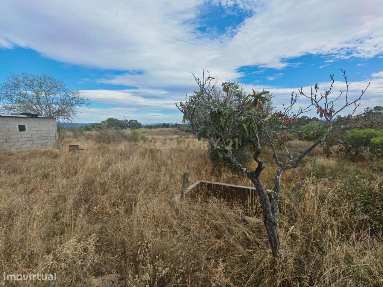 Terreno Rústico em Lousa , Castelo Branco - Grande imagem: 5/12