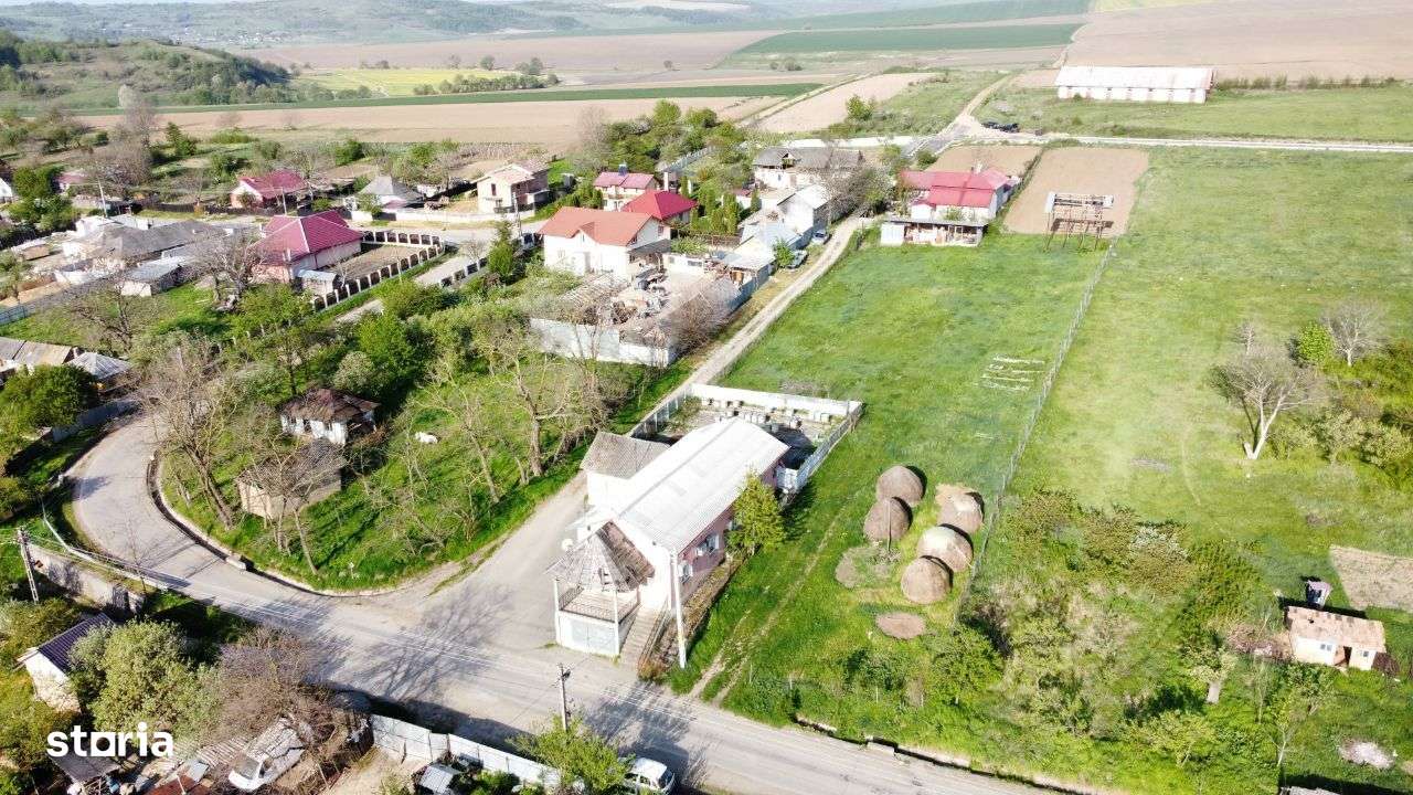 Hala - Spatiu Comercial - Livada , Sat Ciuturesti - Com. Secuieni-3