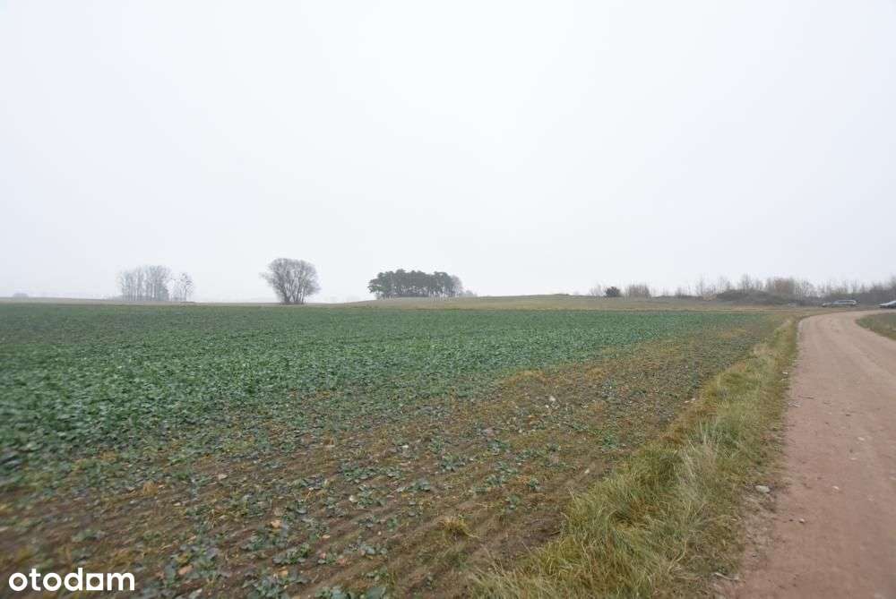 Działka budowlana możliwość budowy 3 domów BRZOZA/Niepruszewo-12