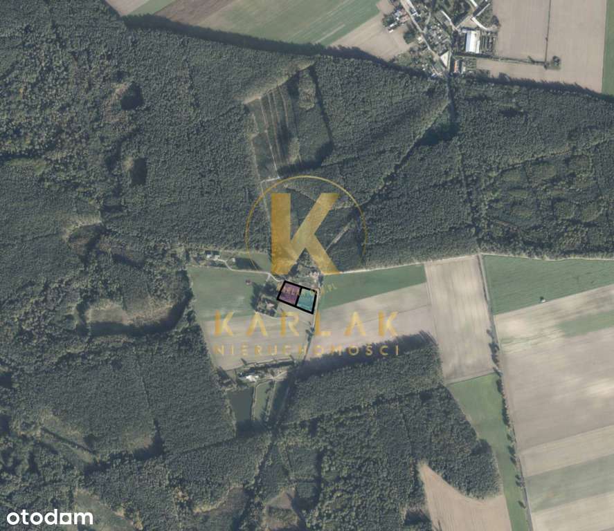 Działka Kaleje w otulinie lasów - 3500 m² - Pełny obrazek: 1/12