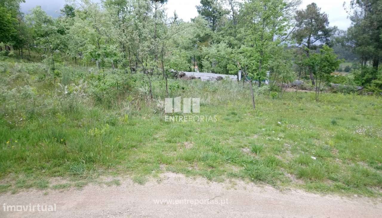 Venda Terreno, Gestaçô, Baião - Grande imagem: 1/6