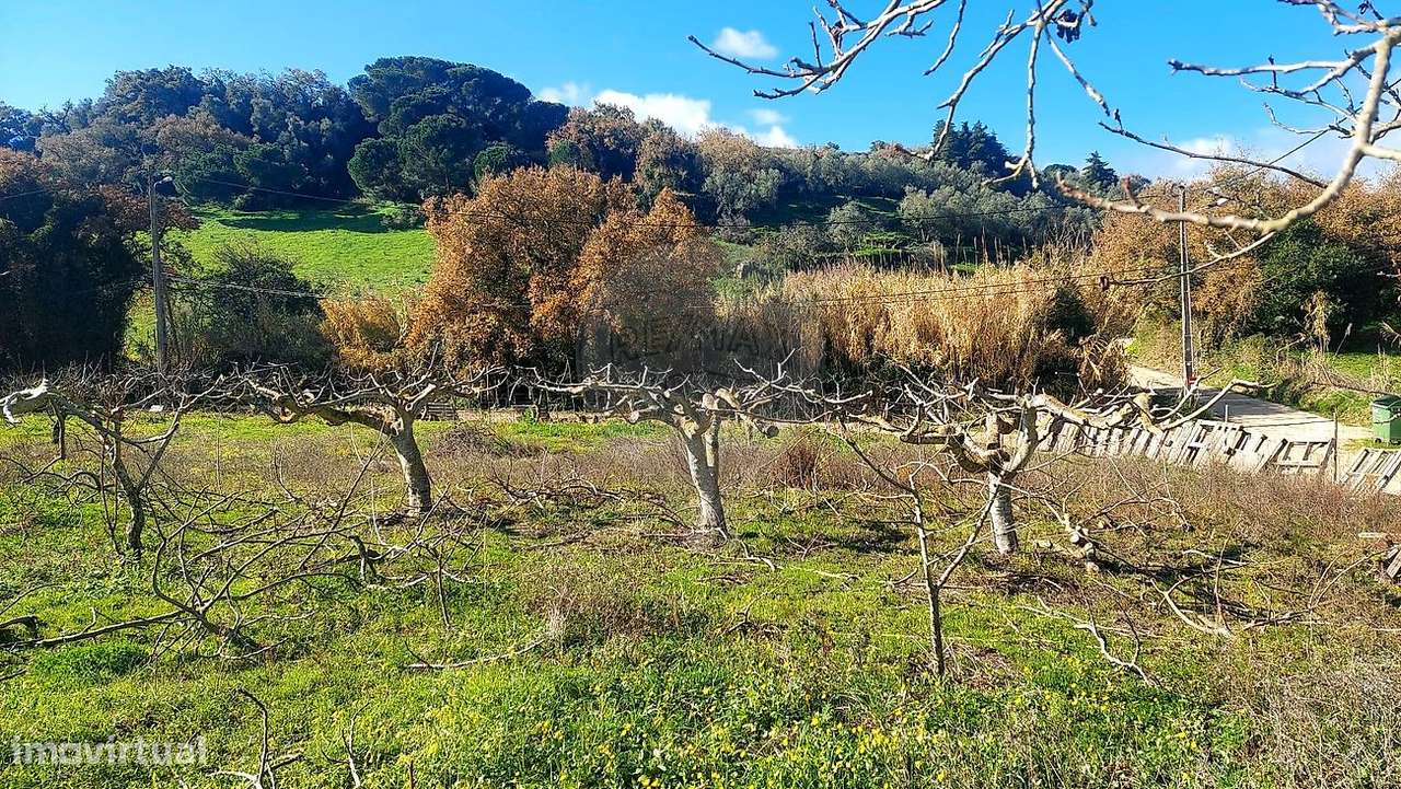 Terreno  para venda-22