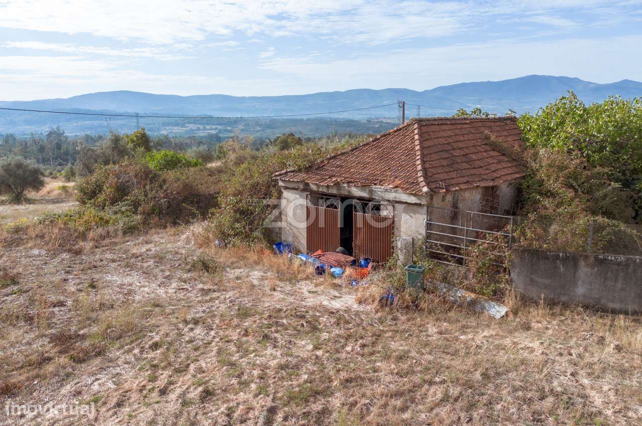 Terreno Cruz das Almas - Grande imagem: 5/8