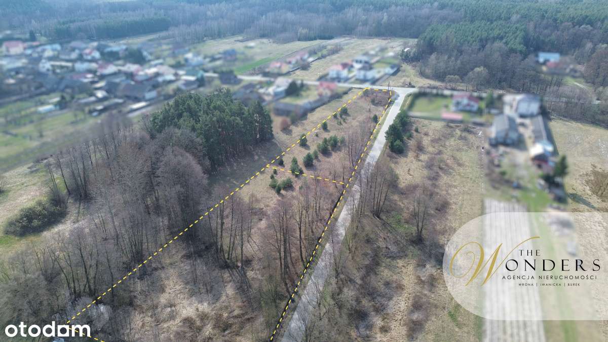 Szerokie działki • Blisko las • 40 ar - Pełny obrazek: 3/3