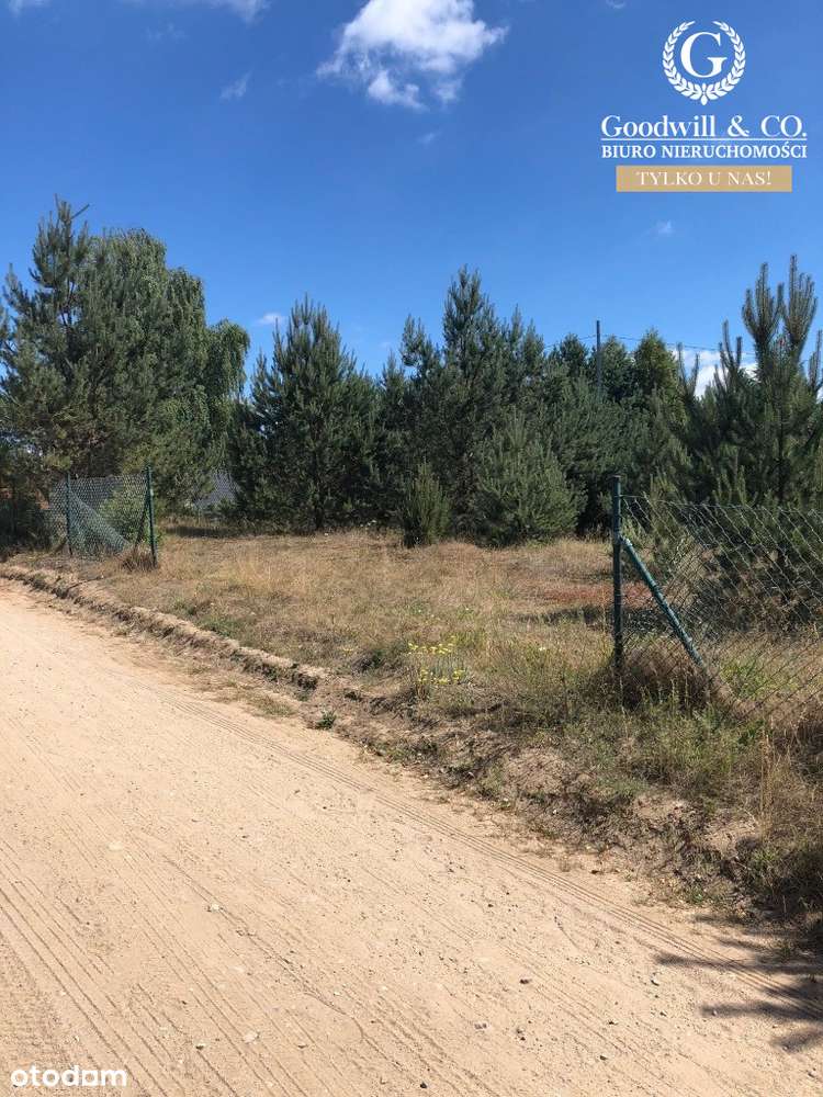 Działka na Kaszubach - Pełny obrazek: 5/5