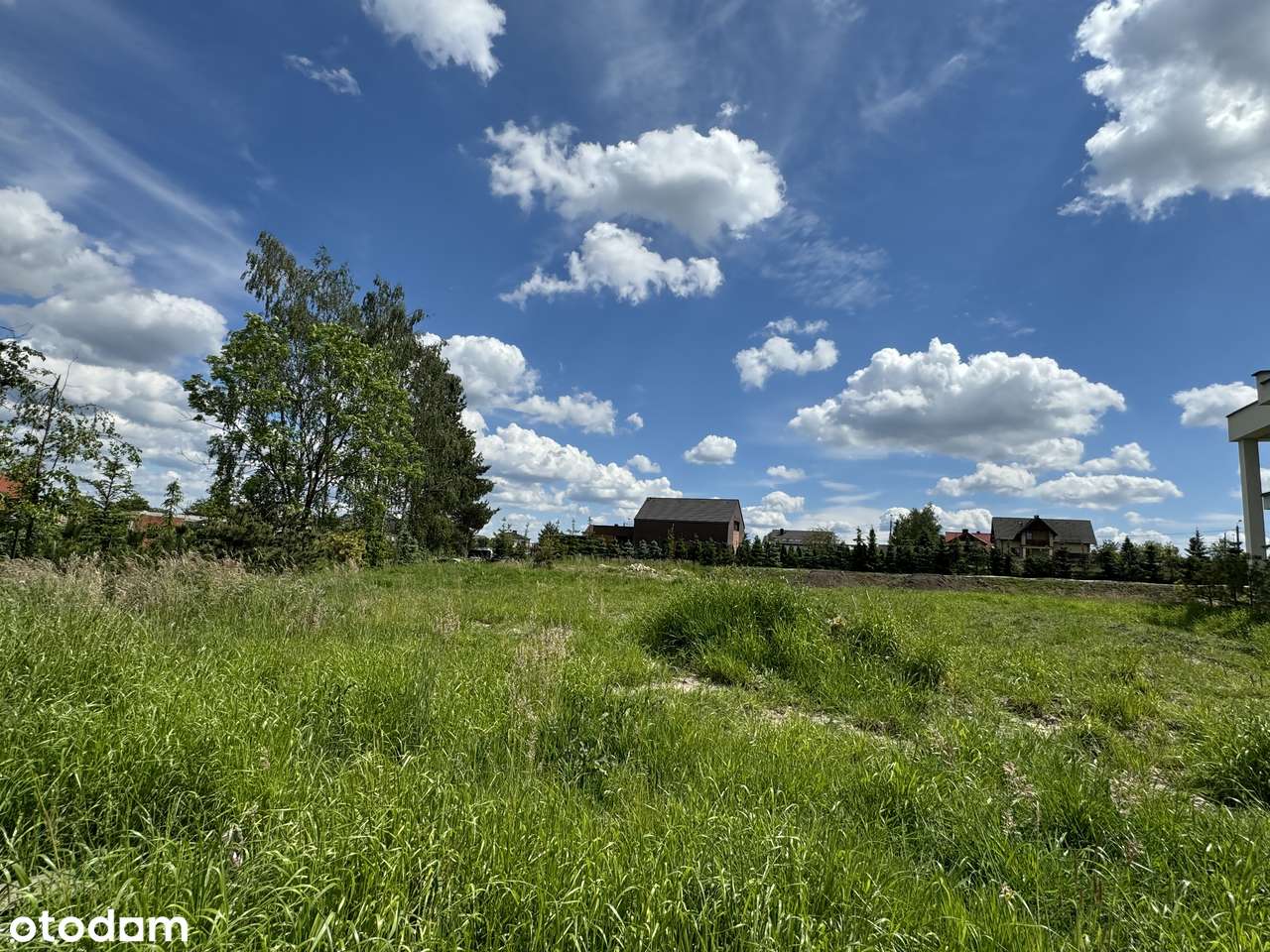 M-CE, MORGI | Idealna działka w znakomitej lokalizacji | Bez prowizji!-2