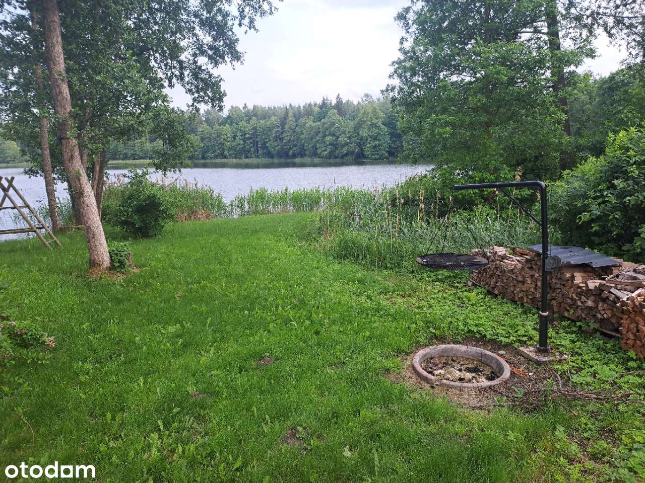 Sprzedam działkę rolną z linią brzegową – Mazury, Doliwy | Natura 2000 - Pełny obrazek: 5/10