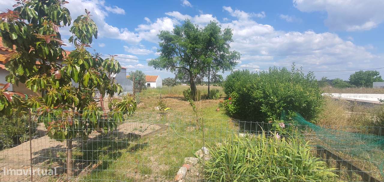 IMPERDÍVEL  Quinta em Foros do Carrapatal, Canha Montijo 51.000m2-29