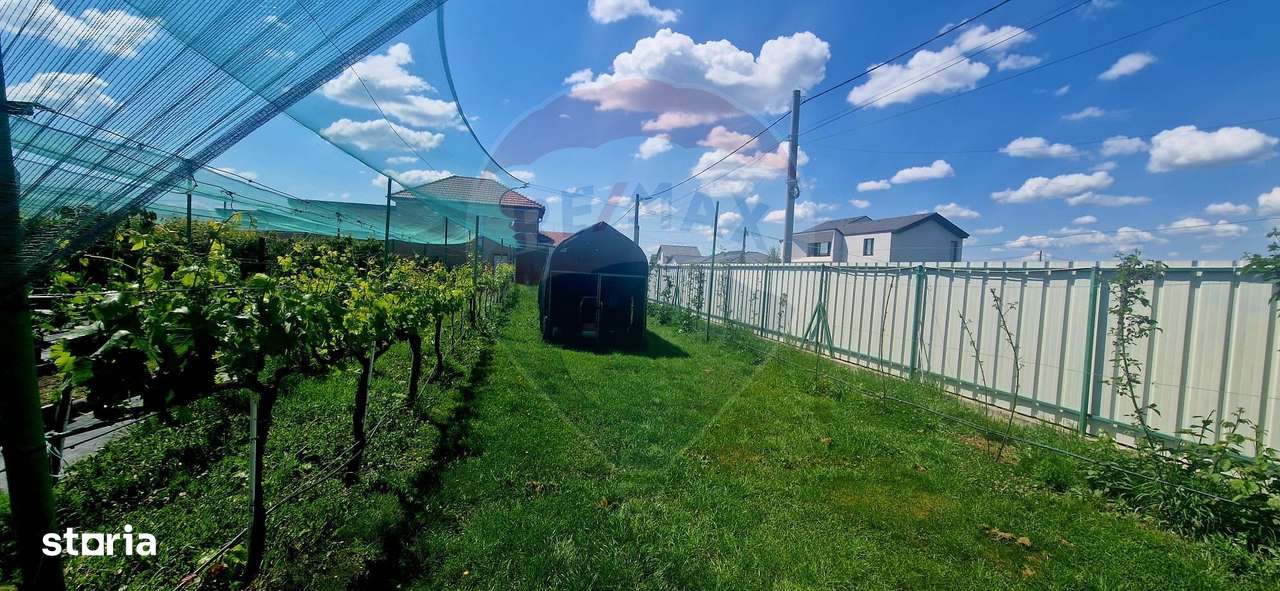 TEREN Investitie livada cu 116 pomi fructiferi in Comuna Livada - Imagine principală: 2/11