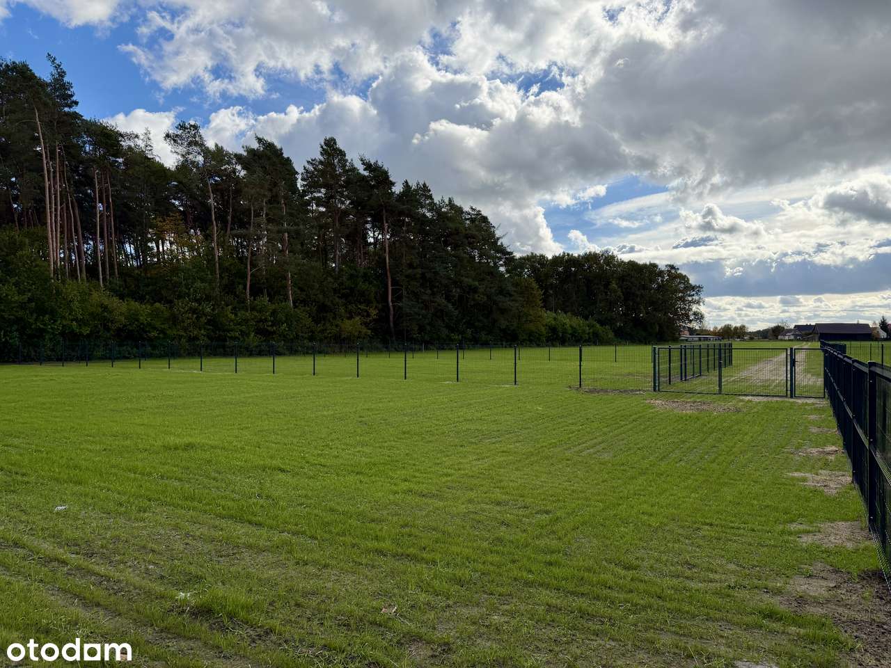 Działki przy jeziorze Lucieńskim i lesie państwowym-12