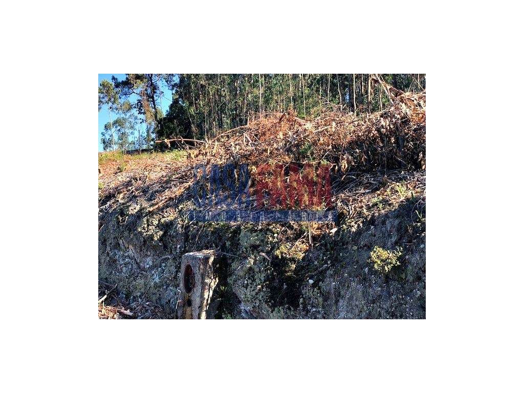 Excelente investimento com rentabilidade! - Grande imagem: 4/5