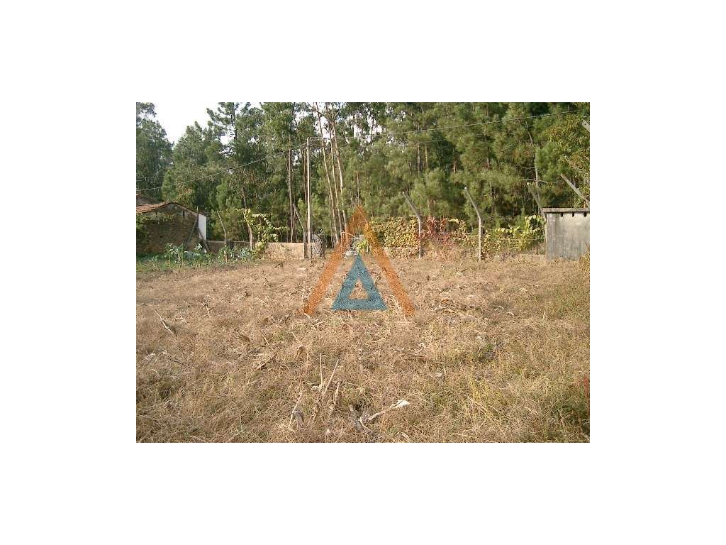 Excelente Terreno urbano - Grande imagem: 5/5