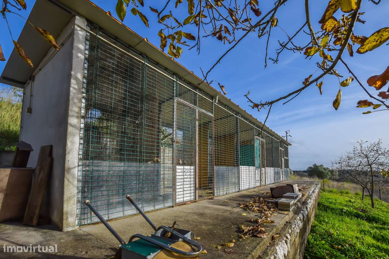 Moradia T3 em Carril - Torres Novas-10