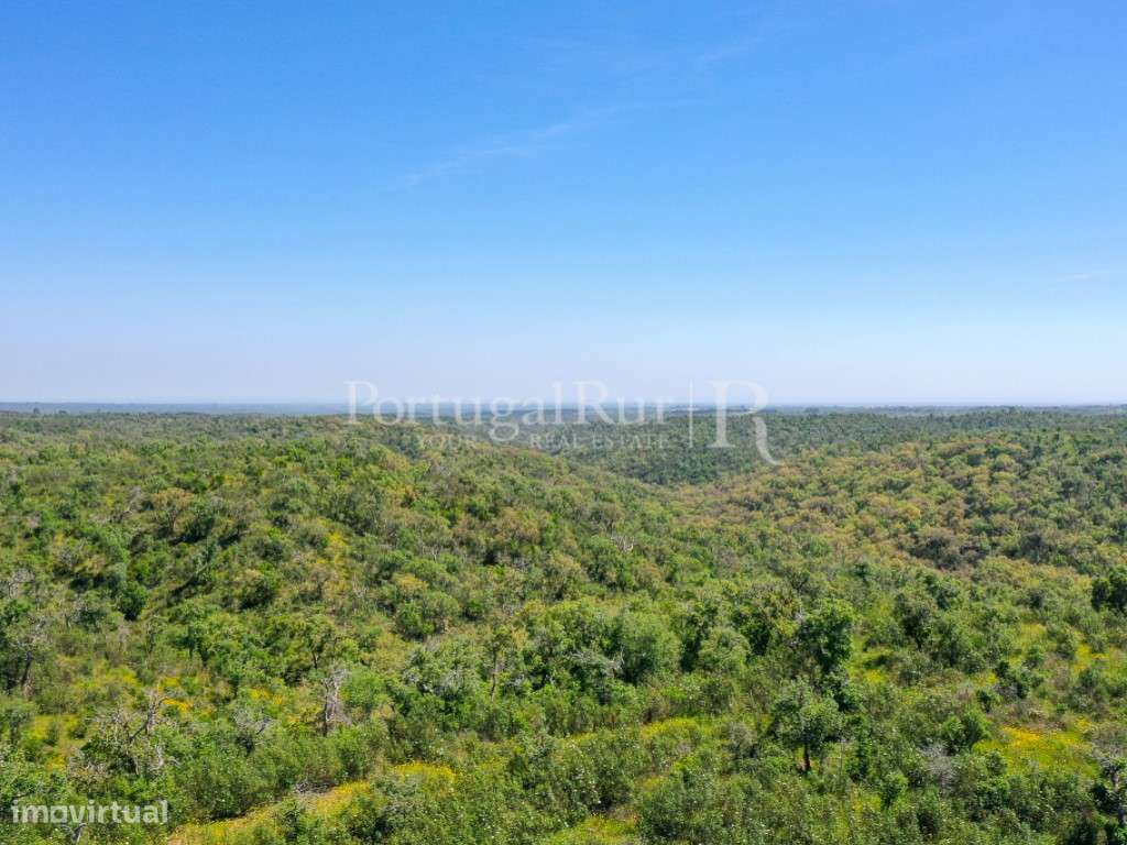 Herdade com 85 ha com viabilidade turística, a 15 km de Melides - Grande imagem: 5/11