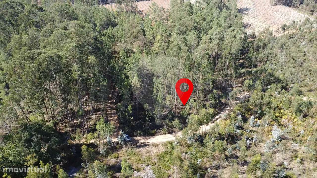 Terreno  para venda - Grande imagem: 5/6